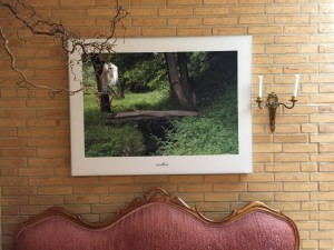 IMG_2030