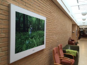 IMG_2041